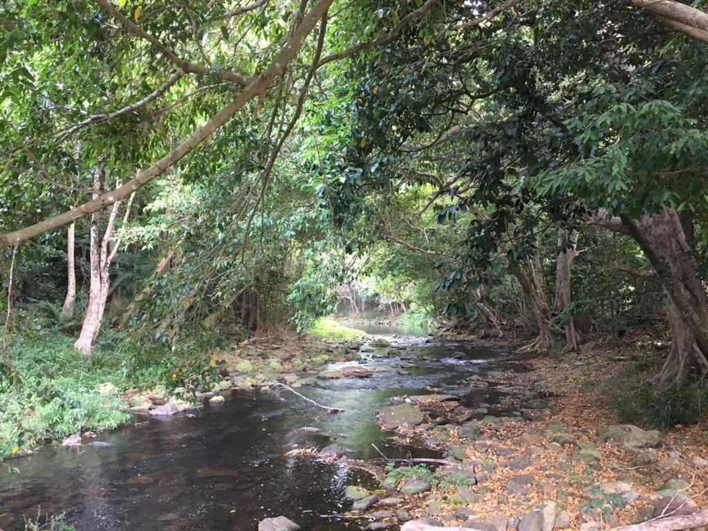 Cairns Crystal Cascades Holiday Park 외부 사진